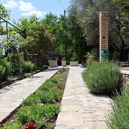 Summer House - Adonis * 키트루크