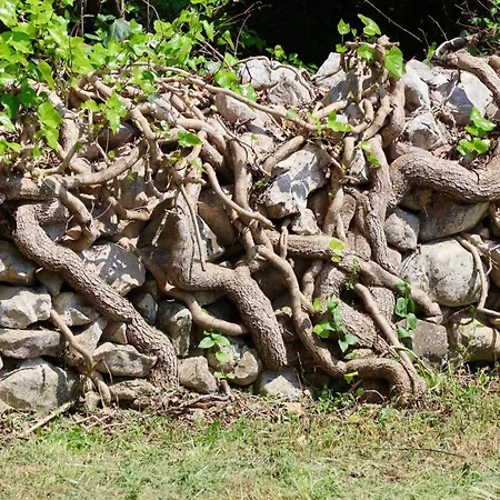 Summer House - Adonis * Čitluk