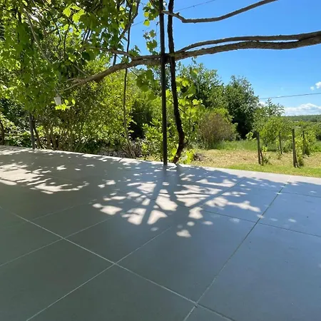 Summer House - Adonis