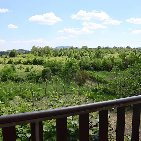 Summer House - Adonis 펜션 *