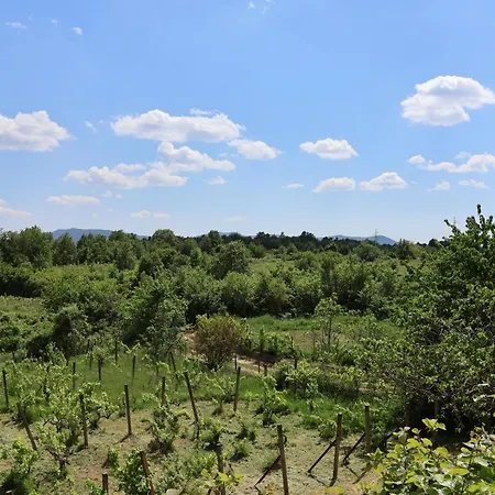 Hébergement de vacances Summer House - Adonis