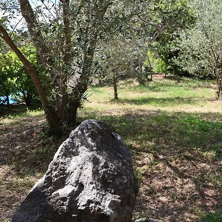 Hébergement de vacances Summer House - Adonis