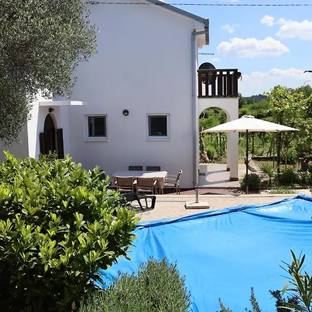 Summer House - Adonis *